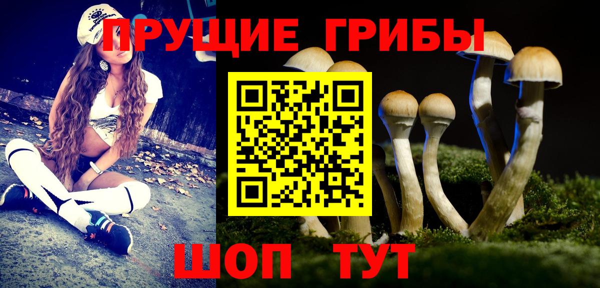 Псилоцибиновые грибы мицелий Еманжелинск